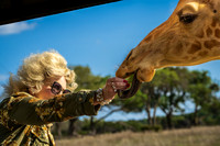 Giraffe (3 of 5)