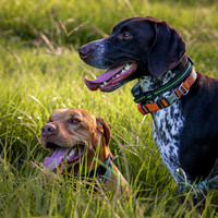 Kane & Kimber