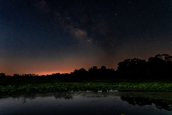 Milky Way over 40 Acre Lake in Brazos Bend State Park